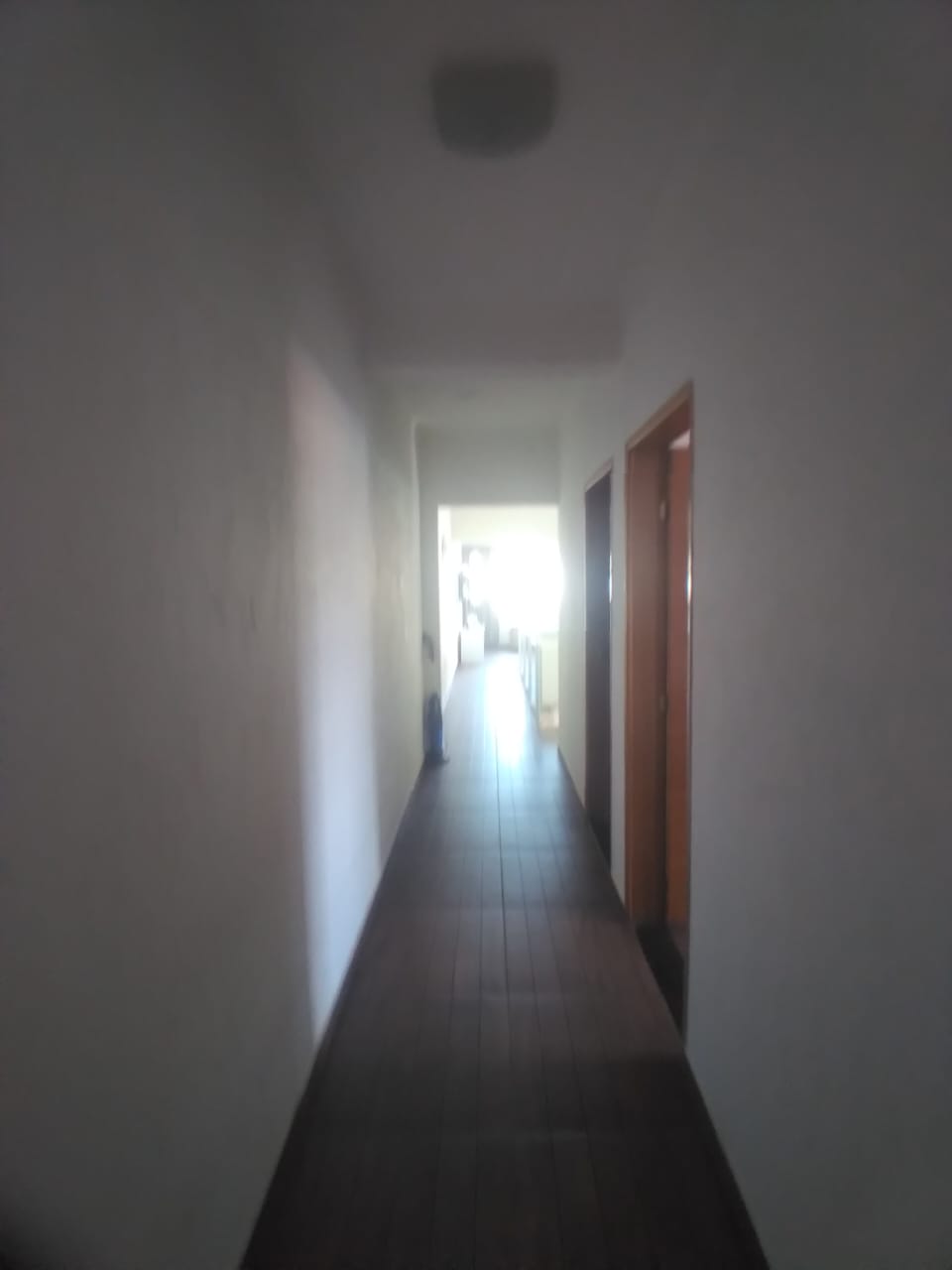 293441